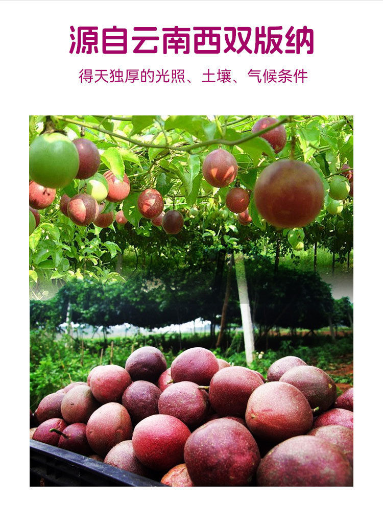 产品介绍
